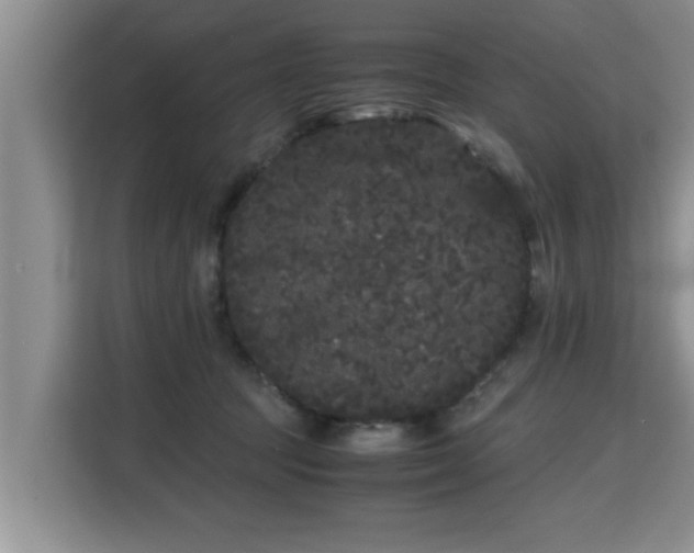 X0000115740369200911191450