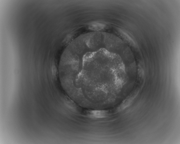 X0000115740371200911191450