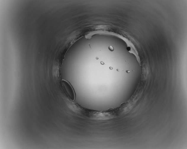 X0000115740379200911191450