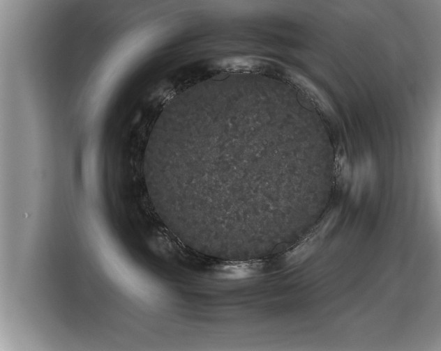 X0000115740381200911191450