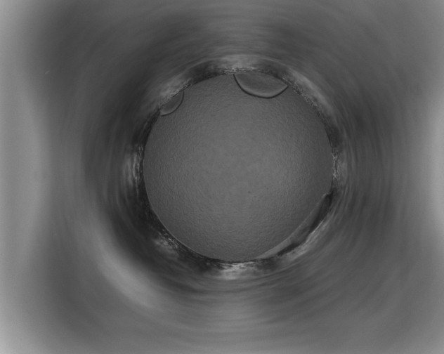 X0000115740382200911191450