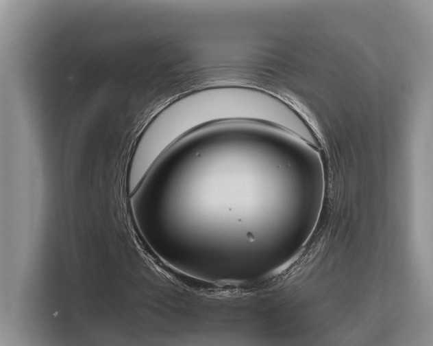 X0000115740385200911191449