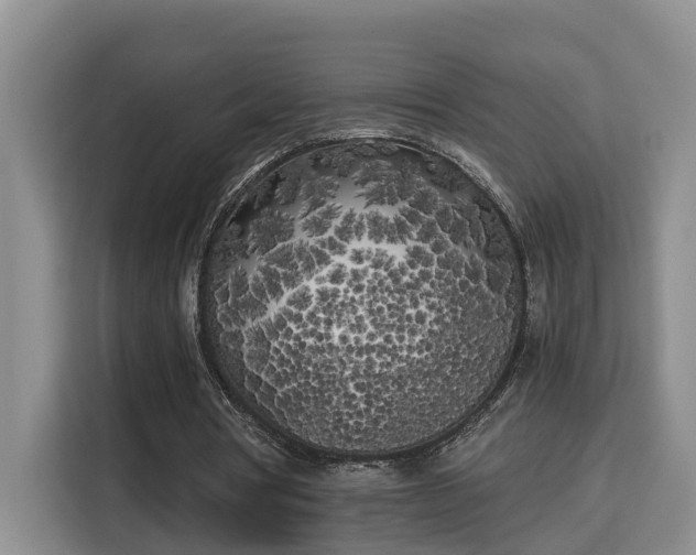 X0000115740386200911191449