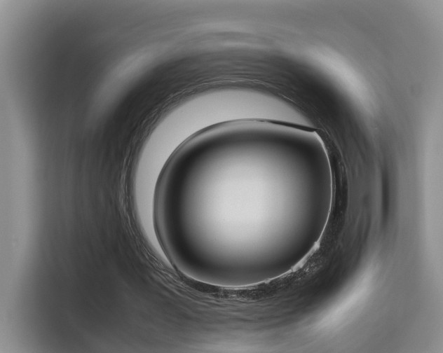 X0000115740387200911191449