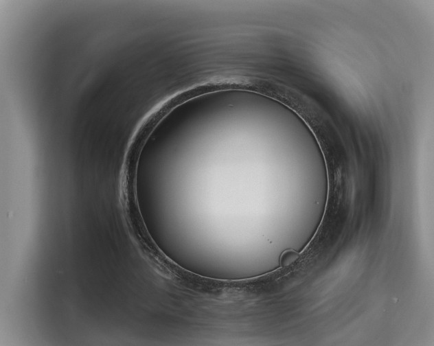 X0000115740388200911191449