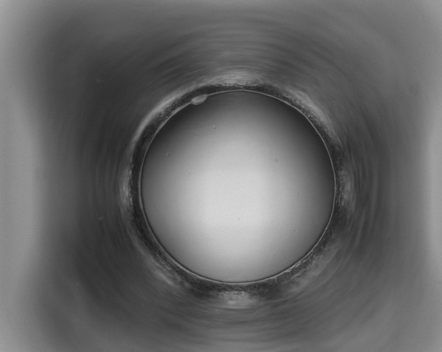 X0000115740392200911191449