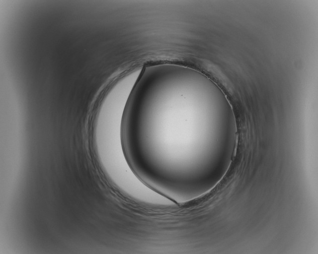 X0000115740395200911191449