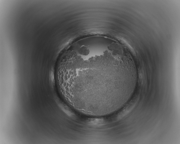 X0000115740398200911191449