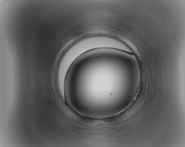 X0000115740399200911191449