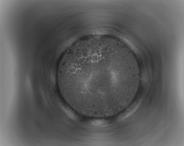 X0000115740402200911191449