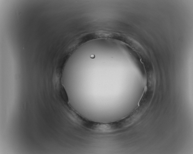 X0000115740409200911191449