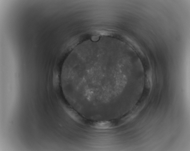 X0000115740410200911191449