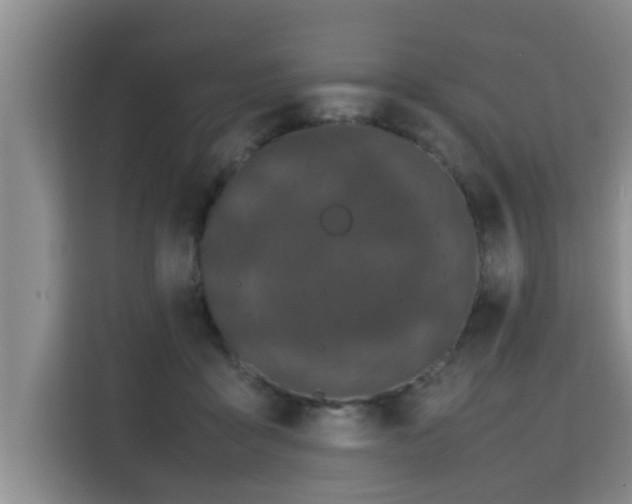 X0000115740411200911191449