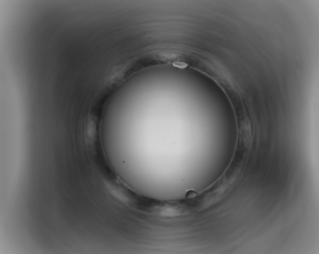 X0000115740412200911191449