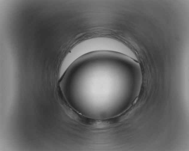 X0000115740413200911191449