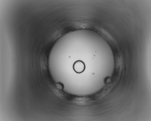 X0000115740414200911191449