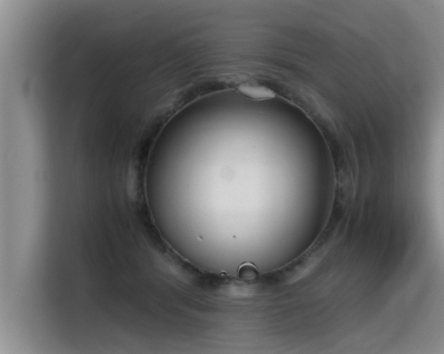 X0000115740416200911191449