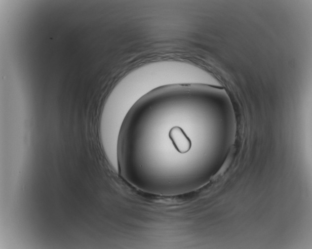 X0000115740417200911191449