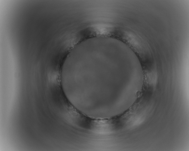 X0000115740419200911191449