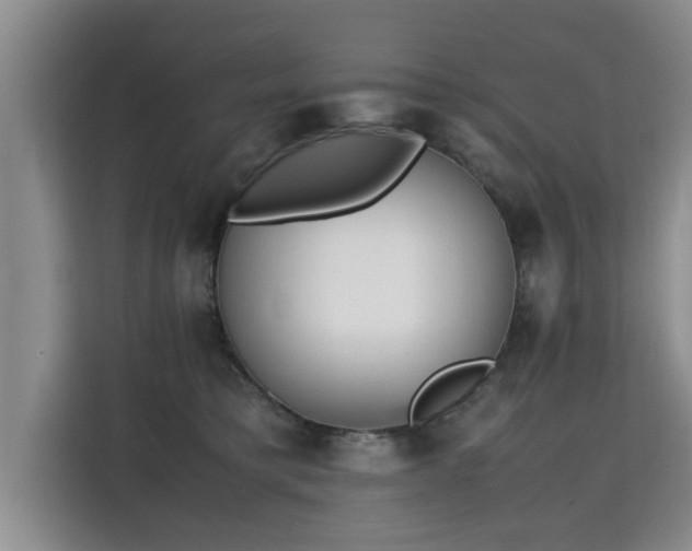 X0000115740421200911191449