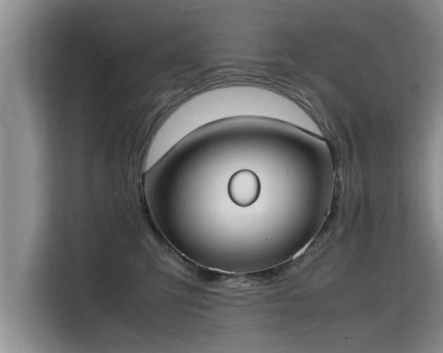 X0000115740423200911191449