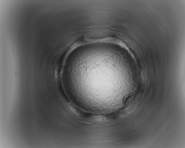 X0000115740424200911191449