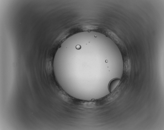 X0000115740426200911191449