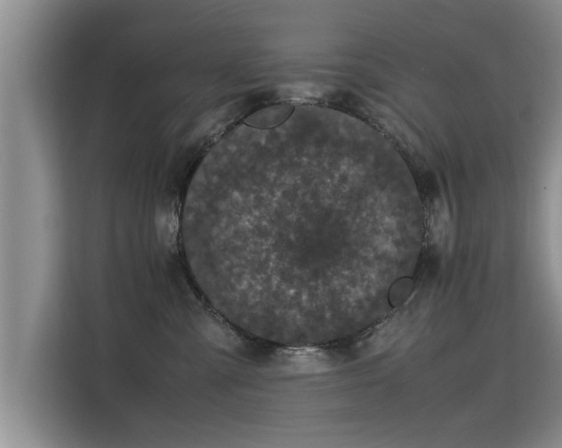 X0000115740427200911191449