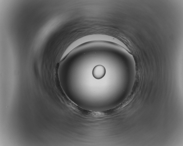 X0000115740429200911191449