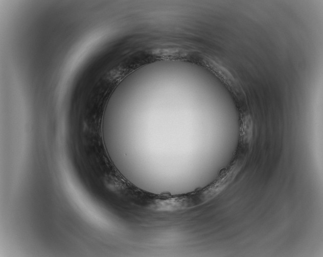 X0000115740430200911191449