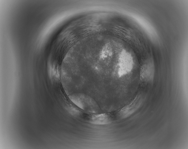 X0000115740431200911191449