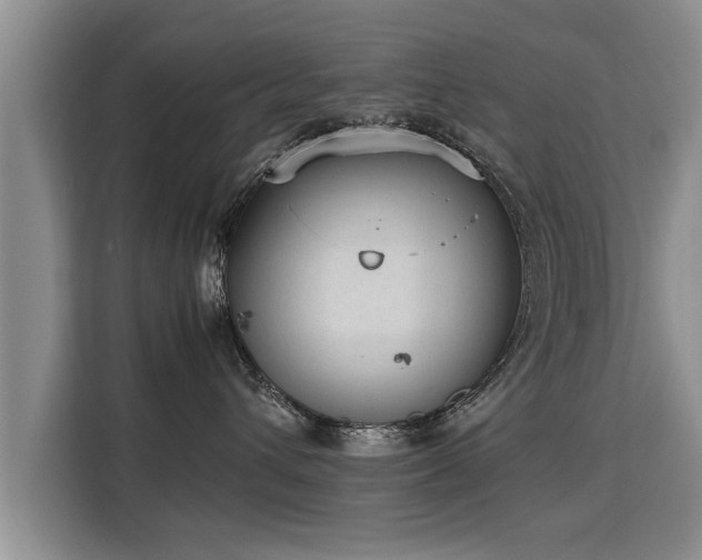 X0000115740432200911191449