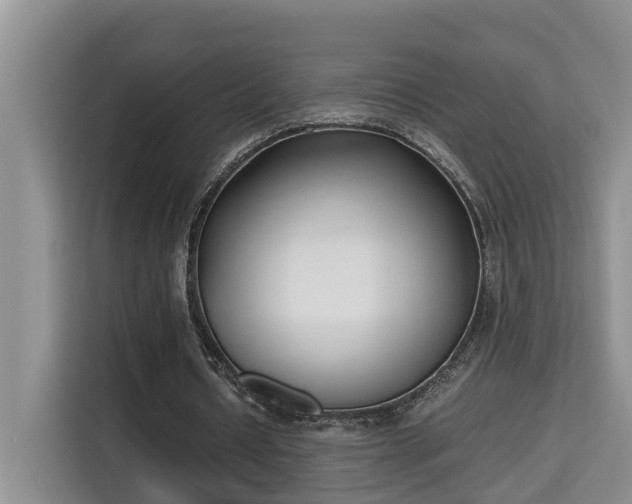 X0000115740434200911191448