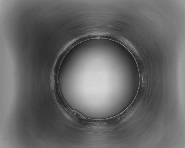 X0000115740436200911191448