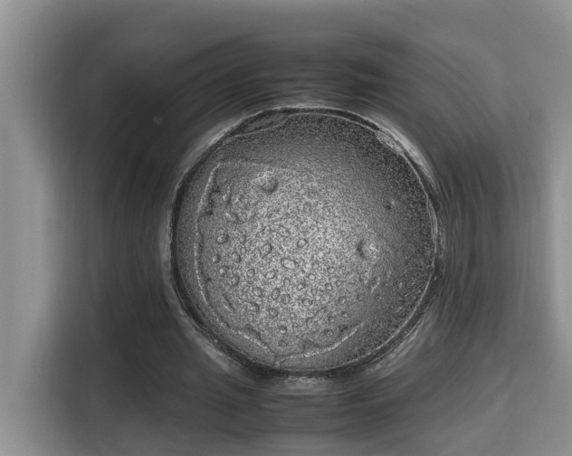 X0000115740437200911191448