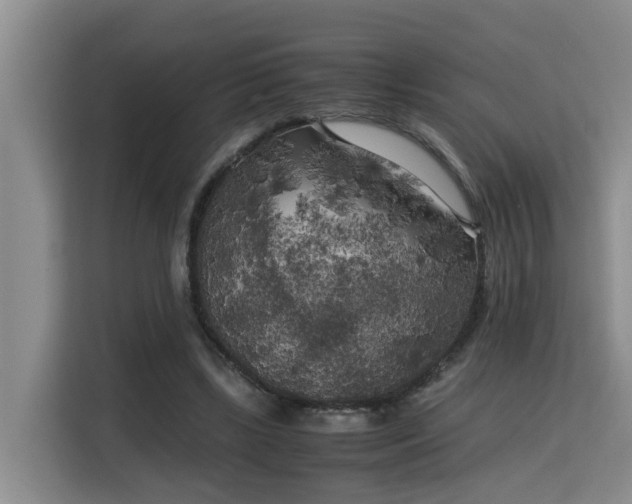 X0000115740443200911191448