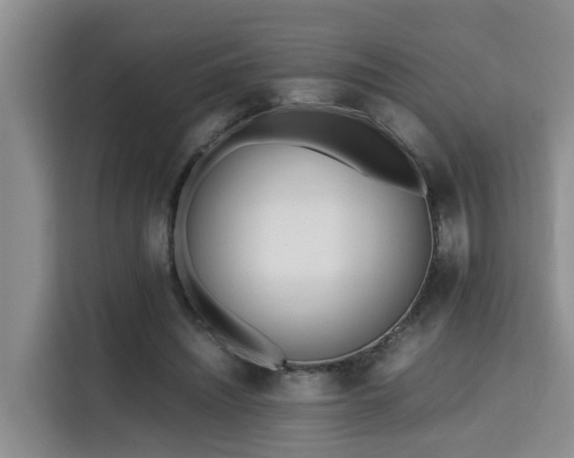 X0000115740444200911191448