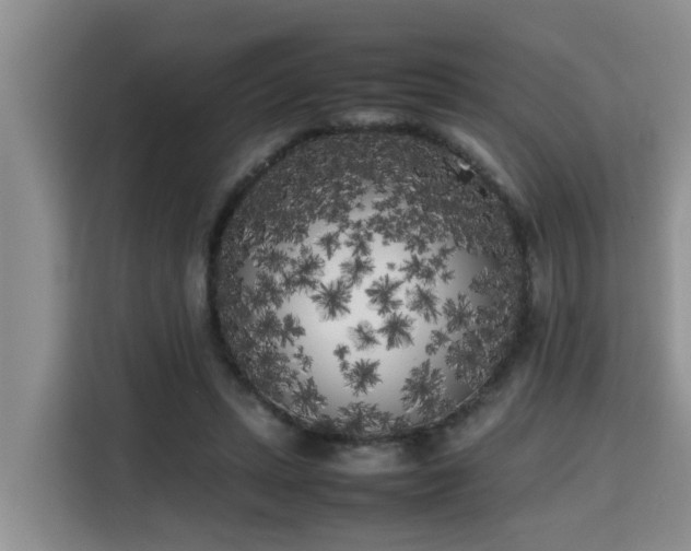 X0000115740447200911191448