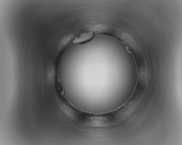 X0000115740448200911191448