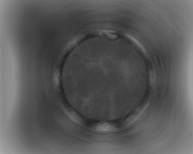 X0000115740451200911191448