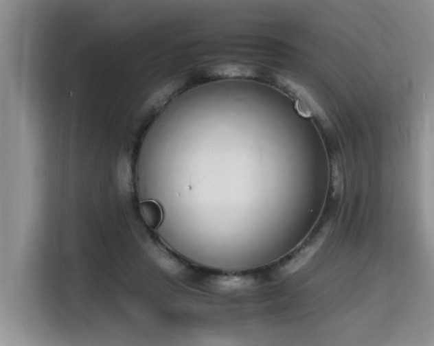 X0000115740453200911191448