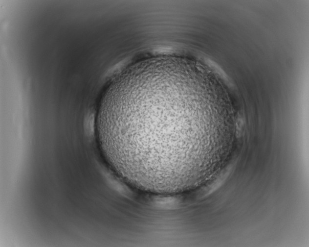 X0000115740454200911191448