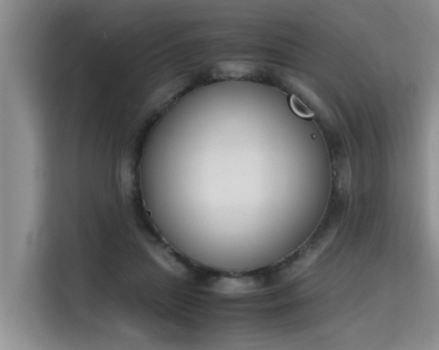 X0000115740455200911191448