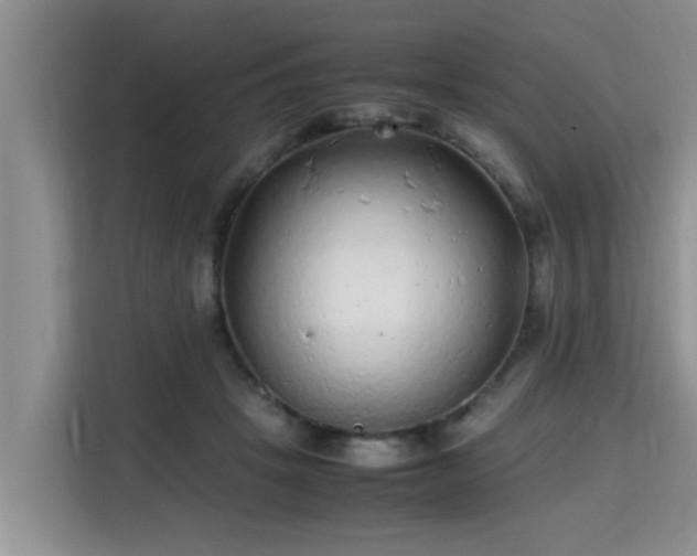 X0000115740457200911191448