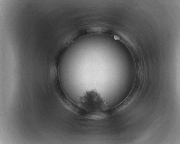 X0000115740459200911191448