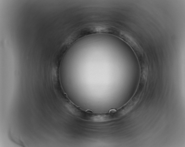 X0000115740461200911191449