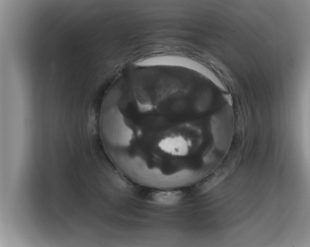 X0000115740465200911191449