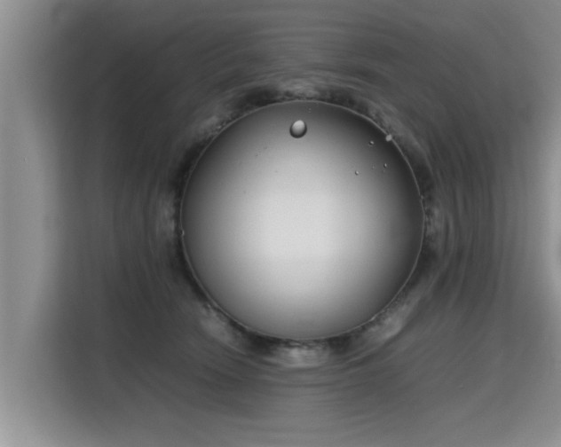 X0000115740466200911191449