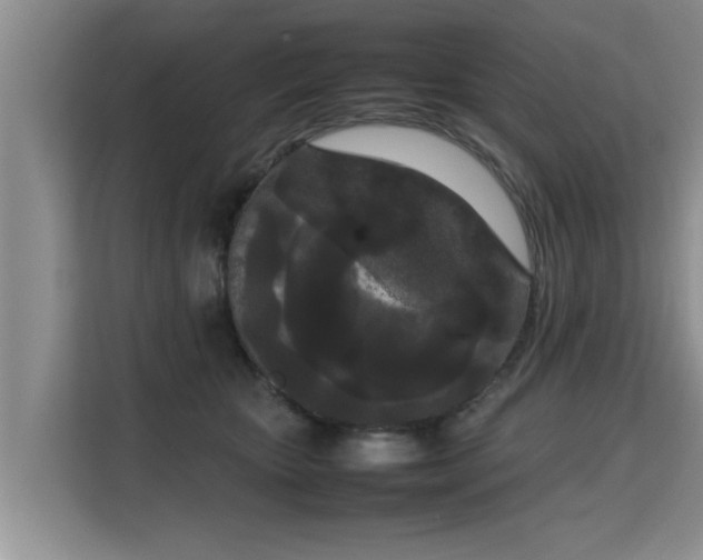 X0000115740467200911191449