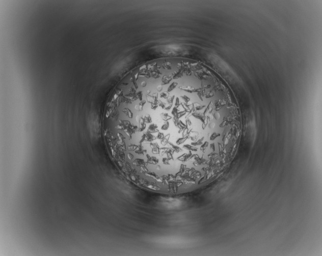 X0000115740469200911191449